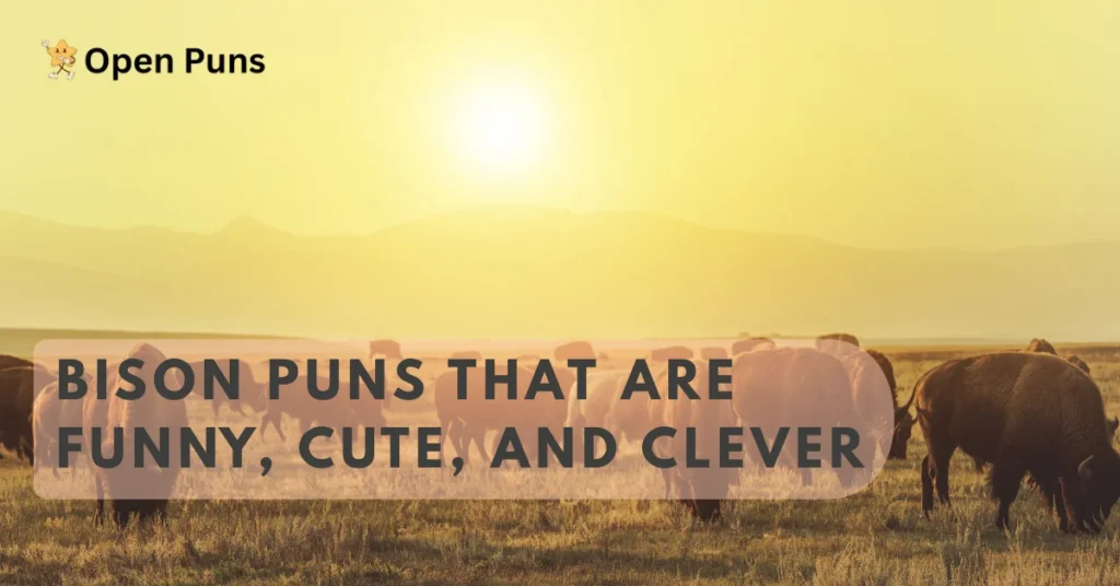 Best Bison Puns That Are Funny, Cute, and Clever