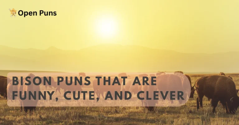 Best Bison Puns That Are Funny, Cute, and Clever