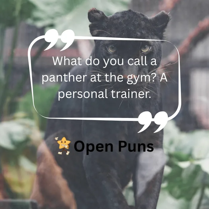 A black panther sitting in a natural environment with a joke overlay: "What do you call a panther at the gym? A personal trainer