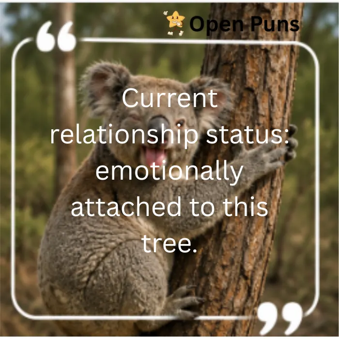 A meme of a winking koala happily hugging a tree trunk with its mouth open. The overlaid white text reads, "Current relationship status: emotionally attached to this tree."