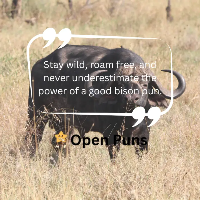An African buffalo standing in tall yellowish grass with a stylized quote bubble overlay stating, "Stay wild, roam free, and never underestimate the power of a good bison pun.