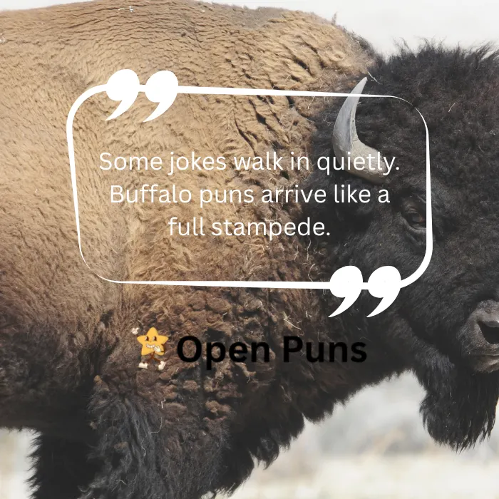 A close-up side profile of a woolly American bison featuring a white quote frame that says, "Some jokes walk in quietly. Buffalo puns arrive like a full stampede.