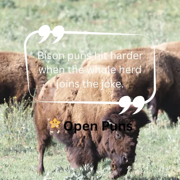 A herd of fluffy brown bison grazing in a sunny green pasture. In the foreground, a text box overlay contains the quote, "Bison puns hit harder when the whole herd joins the joke