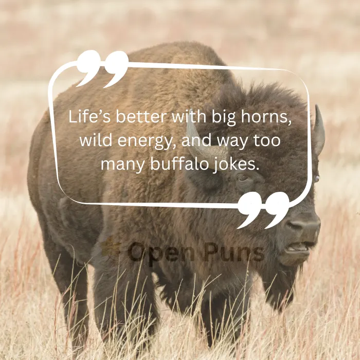 An American bison standing in a dry prairie field with a text overlay reading, "Life’s better with big horns, wild energy, and way too many buffalo jokes.