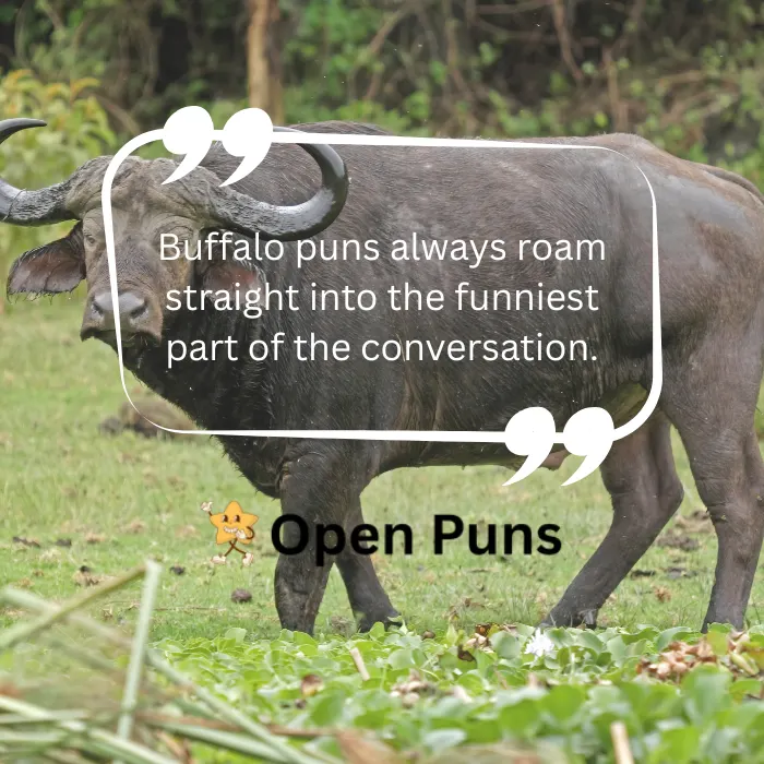 A Cape buffalo standing in a grassy field with a quote box overlay that reads, "Buffalo puns always roam straight into the funniest part of the conversation.
