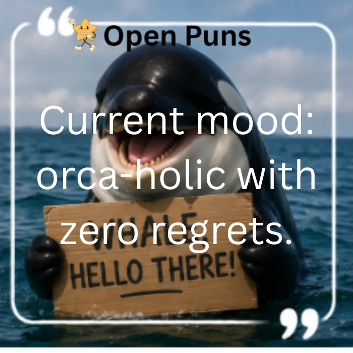 An image of a smiling orca popping out of the ocean, holding a cardboard sign that reads "WHALE HELLO THERE!". Overlaid large white text states, "Current mood: orca-holic with zero regrets,