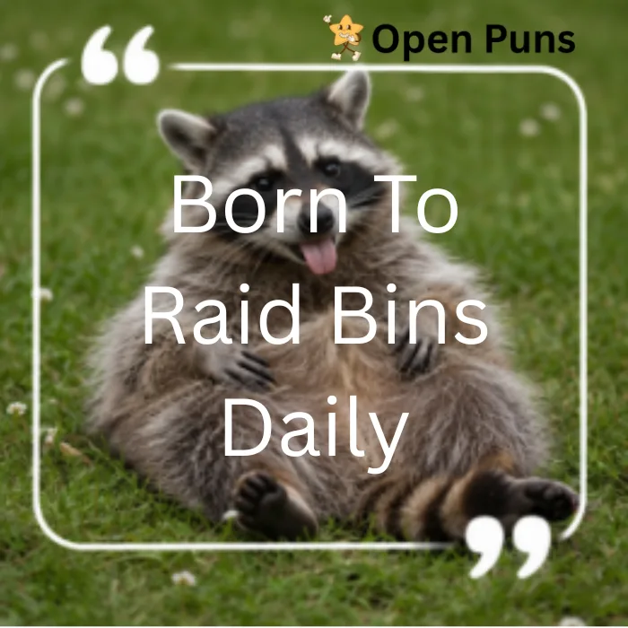 A chubby, relaxed raccoon sitting back on a green grass lawn sticking its tongue out, featured with a quote frame reading "Born To Raid Bins Daily".