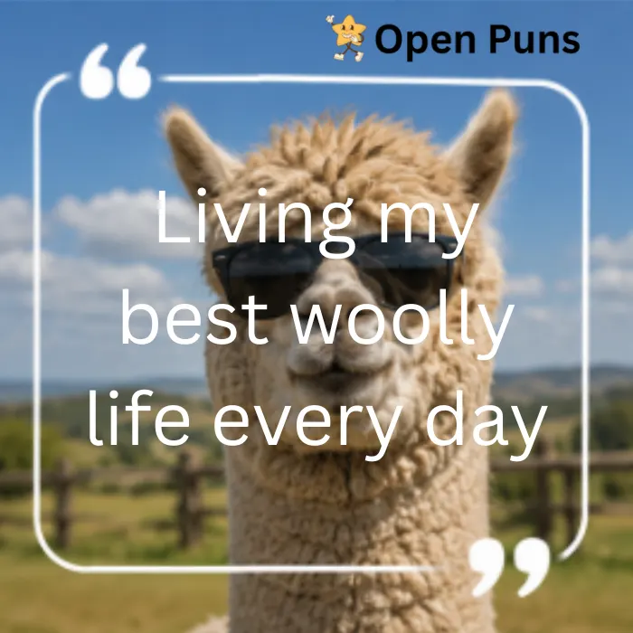 A stylish alpaca wearing black sunglasses against a sunny field and blue sky background. Text overlay says "Living my best woolly life every day