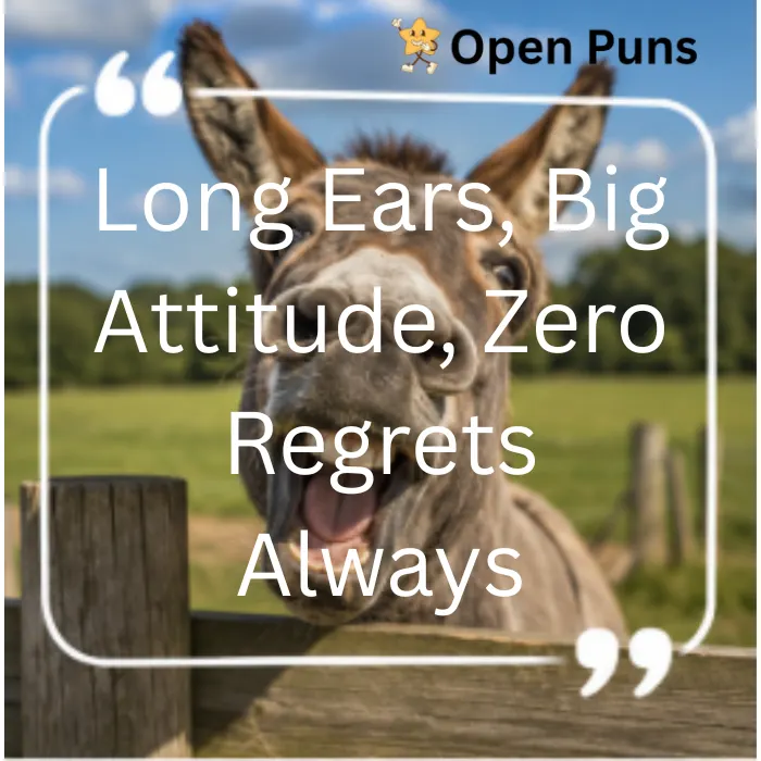 A close-up of a brown donkey with large ears open-mouthed braying behind a wooden fence with an overlay quote reading, "Long Ears, Big Attitude, Zero Regrets Always."