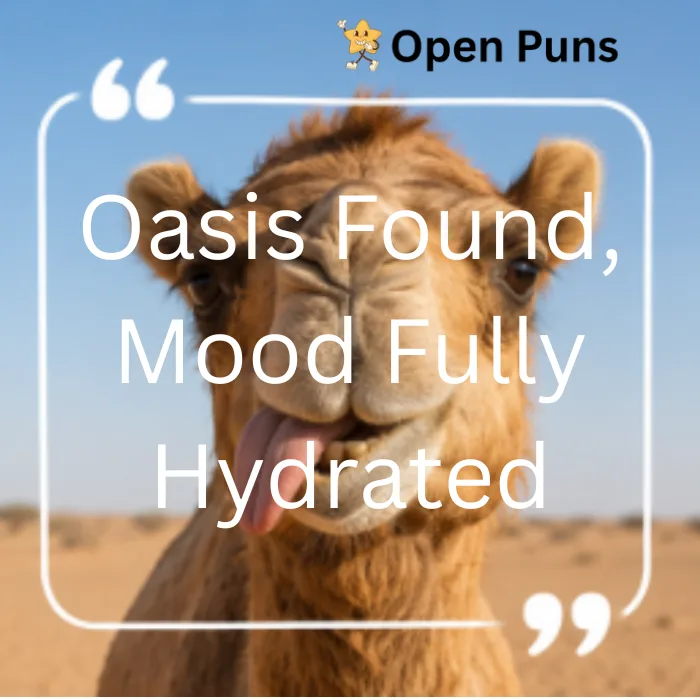 A close-up image of a camel wearing a straw hat in the desert, overlaid with a quote frame that reads, 'Spit Happens, Keep Walking Forward