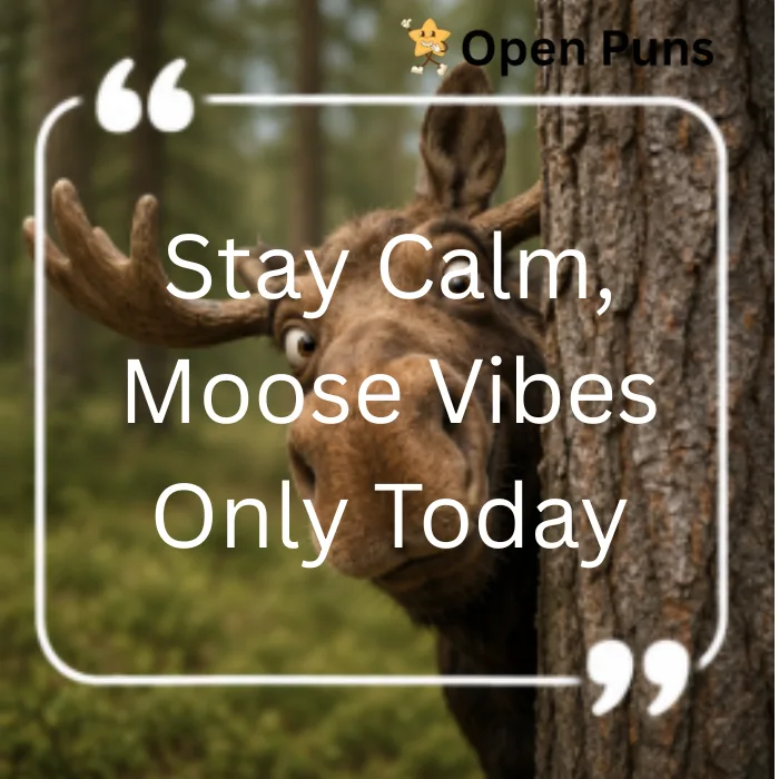 A funny moose peeking out from behind a large tree trunk in the woods, with a quote block reading "Stay Calm, Moose Vibes Only Today".