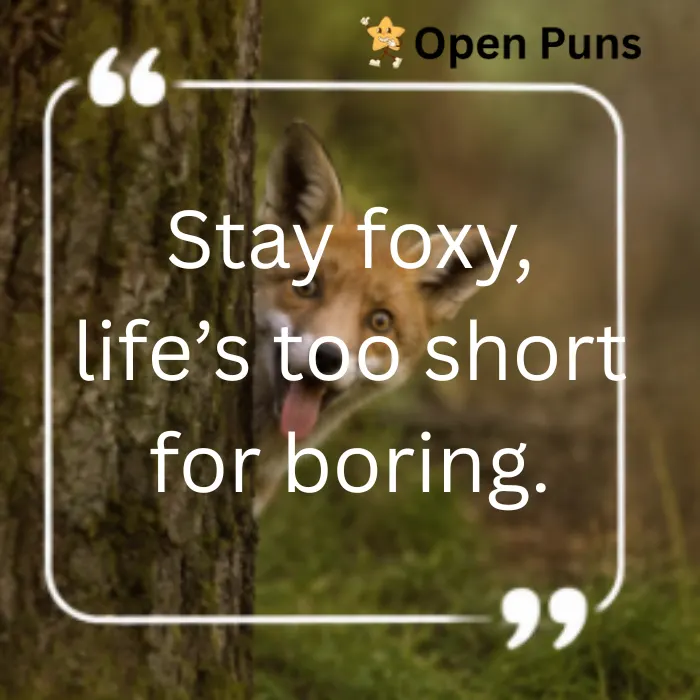 An Open Puns graphic featuring a cute red fox peeking out from behind a tree trunk with its tongue sticking out, overlaid with the text quote 'Stay foxy, life’s too short for boring.'
