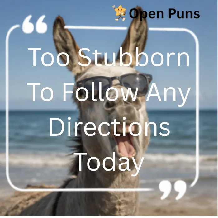 A humorous donkey wearing black sunglasses at the beach with its mouth wide open, featuring a text overlay that says, "Too Stubborn To Follow Any Directions Today."